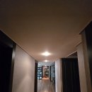동창원IC 하우스토리 | 진영누수부분도배 누수도배전문업체 동창원 ic 하우스토리 거실 천정 석고보드 교체 및 실크 도배 복구...