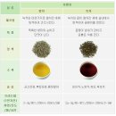 옛온천골 이미지