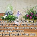 다울에듀 이미지
