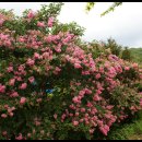 필암서원 유물전시관 이미지