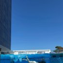 청강수영사우나 | 앰배서더 서울 풀만 호캉스 2박! 해피아워/수영장/조식 솔직후기:)