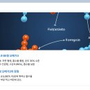 부용약국 | 오메가3효능 복용시간 복용법 부모님 ,임산부에게 좋은 제품 추천 , 오메가쓰리 보관방법등