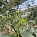 생규농장 이미지