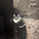 일구사삼 이미지