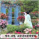 광장편의점 | 경기 여행 고양 가볼만한 곳 2026 고양국제꽃박람회 후기 및 주차 정보