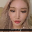 청하 이미지