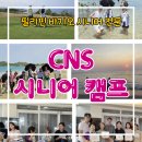 시니어마트 | CNS 시니어 캠프 - 영어수업부터 여행까지 준비 완료