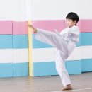 올바른i태권도 이미지