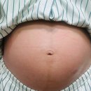 어라운드맘스 | [임신일기#30] 오랜만에 외출한 24주 임산부의 대전출장일기 진해진 임신선