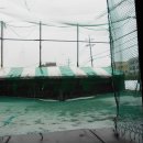 초이스 게임장 이미지