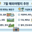 울릉도 숙소 선택의 쟁점 비교와 실패 없는 예약 팁