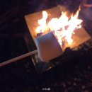 경주 산내 오토캠핑장 곤달비캠프