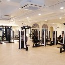 휘트니스엘 - 고양시 일산서구 주엽로 80 | 휘트니스엘