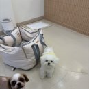 아토살롱 이미지