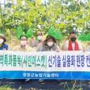 샤인컨설팅 이미지