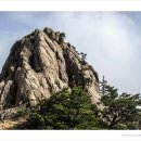 하산 이미지