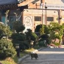 전주여행숙소 콩쥐팥쥐 한옥리조트 후기
