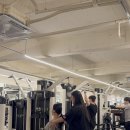 리라핏 거모점 이미지