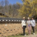 - 시조(時調)의 시조(始祖) 역동(易東) 우탁(禹倬)선생의 발자취를 따라서 - 이미지