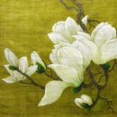 하얀날개 이미지