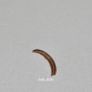 디유네일 - 부천시 원미구 신흥로 190-1 | 디유네일