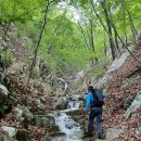 울주 大雲山 도룡골 좌골의 우측 지계곡 탐구 산행 이미지