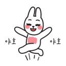 에스큐스튜디오 이미지