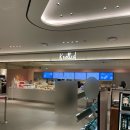 노티드 인천 롯데 | 노티드 인천 롯데백화점 우유크림 케이크 구입 후기