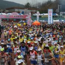 합천불고기 이미지