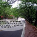 화개천 이미지