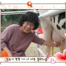 재환목장 Daum카페