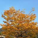 창원중앙역 | 창원중앙역 KTX 이용후기