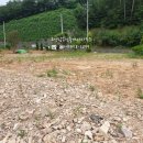 고성탑공인중개사사무소 이미지