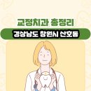 산호동001 이미지