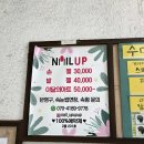 네일업네일UP