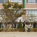 흥덕초등학교 국기게양대 주변 무궁화 나무 식목(10. 30) 이미지