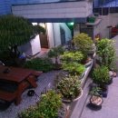 소나무집 이미지