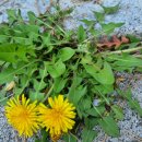 동아사랑공인중개사사무소 이미지