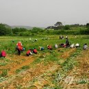 자비농장 이미지