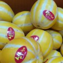 박춘식농장 이미지