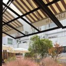 창동 가로수길 이미지