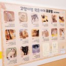 고양이별 작은아이 이미지