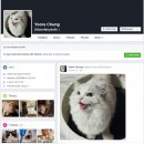 나는 고양이(소규모) 이미지