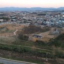 레드핀휠