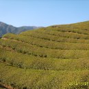 정금마을회관 이미지