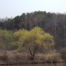 산과강