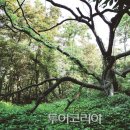 신안낚시터 이미지