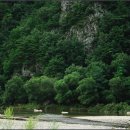 황금펜션 이미지