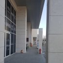 (주)알트윈 쉐프밥 파크하비오 | 송파찜징방 나혼자 즐기는 힐링 워터킹덤 24시 찜질방 사우나