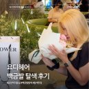 새하얀미용실 - 중구 | 응암역 미용실 요디헤어 백금발 탈색 횟수 소요시간 등 후기